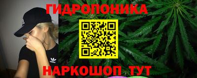 jwh Сланцы