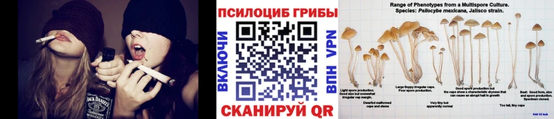 Псилоцибиновые грибы Psilocybe  дарнет шоп  Дятьково 