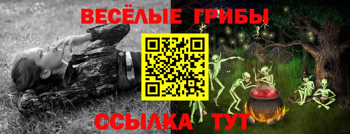 Псилоцибиновые грибы Cubensis  Вход с VPN  Дятьково 